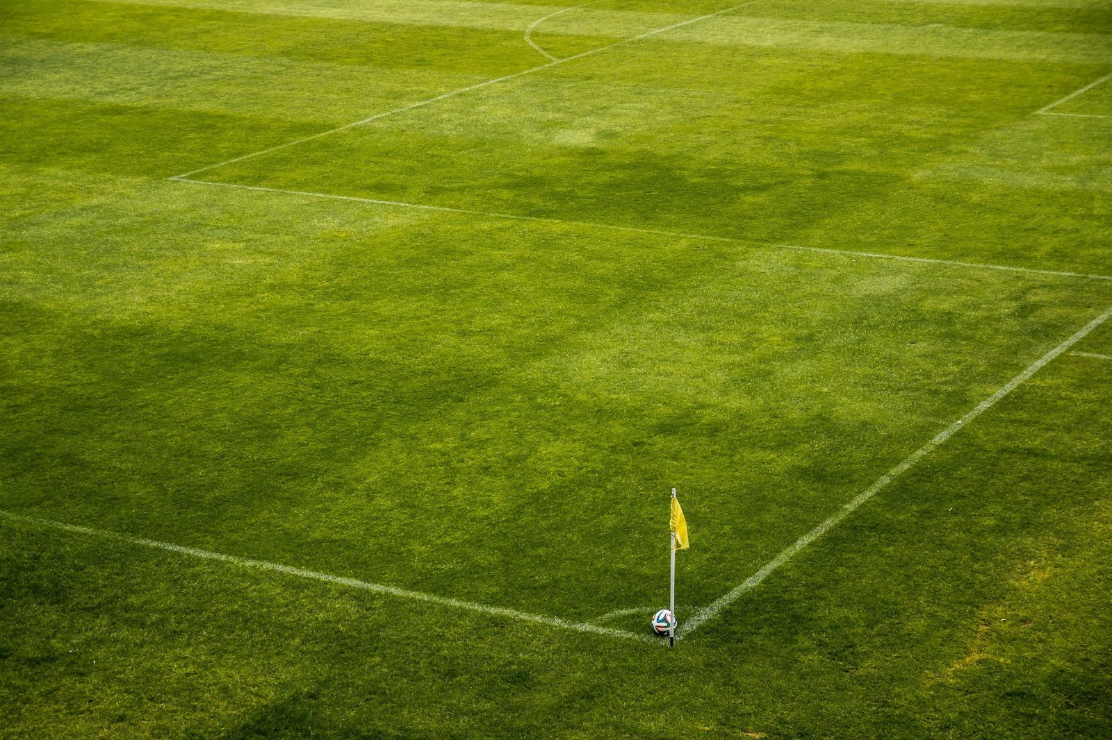 Foto via Pexels, credits Pixabay